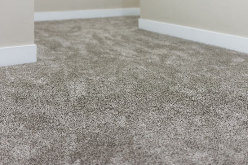 Clean and Fresh Carpets